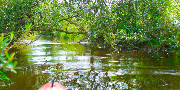 Bootstour auf der Wümme mit einem Kajak